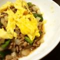 サトモユリア's cooksnap of when they made ひき肉と玉葱のオムレツ.