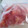 oriya's cooksnap of when they made トマトの保存.