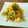 華城ん's cooksnap of when they made ＊簡単＊ゴーヤと卵のふんわり炒め＊.