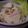 戦うコックサン's cooksnap of when they made りんごとセロリのサラダ.