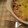 threebirds's cooksnap of when they made 里芋の和風味噌グラタン.