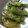 ユリパン's cooksnap of when they made ししとうの甘辛煮.