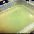 tykmam's cooksnap of when they made 梅酒de寒天.