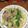 kyon1127's cooksnap of when they made 鶏肉と青梗菜の塩炒め.