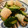 aquamari's cooksnap of when they made いかときゅうりの酢の物♬.