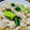 ママさんはっち's cooksnap of when they made きゅうりとささみのピリ辛ごま油あえ.