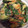 crossbee's cooksnap of when they made 簡単カレーに合うきゅうり和え.