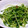 ayusari's cooksnap of when they made 簡単中華の定番！！豆苗炒め.