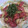 ＳＨＯ２２'s cooksnap of when they made ﾄﾏﾄとｱﾎﾞｶﾄﾞの冷製パスタ.