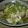 ミニラ☆'s cooksnap of when they made モロッコいんげんとツナ缶煮.