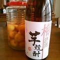 たくのスプーン's cooksnap of when they made 結局こうなった　私の甘くない梅酒.