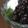 SYNDY's cooksnap of when they made 白玉あんみつ　Yukko-pyon風.