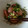 みっこ軍曹's cooksnap of when they made さといもとイカの煮物.
