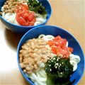 はな♡ごん's cooksnap of when they made 子ども用　冷やしうどん.