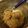 パパイヤパ's cooksnap of when they made 簡単♪肉味噌.