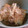ユミミ★'s cooksnap of when they made 簡単焼くだけ厚揚げ焼き.
