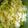 twinsのまま's cooksnap of when they made 枝豆ご飯　.