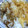 VanDyke's cooksnap of when they made 揚げ玉ご飯.