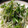huto☆'s cooksnap of when they made にらともやしの塩麹炒め.