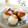 あっぷるカモミール's cooksnap of when they made ふゎふゎおだんごでみたらしだんご.