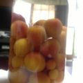 かすみ07's cooksnap of when they made かわいい～♪ピンクの梅酒(*^_^*).