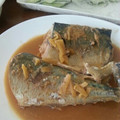 。ありんこ。's cooksnap of when they made 和食の定番！サバの味噌煮。.