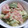 numamii's cooksnap of when they made ＊アボカドとトマトの ワサマヨ和え＊.