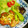 maisaa's cooksnap of when they made 鶏唐揚げのねぎソース.