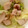 ミイシ's cooksnap of when they made イカとセロリの胡椒炒め.