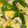 まり2009's cooksnap of when they made ニラと卵の炒め物.
