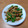 みぃくんのママ's cooksnap of when they made ごぼうといんげんの煮物.