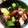 おさめ's cooksnap of when they made さっぱりたこ酢.