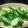 ちゃんちゃん。's cooksnap of when they made 袋★キュウリ★塩★生姜だけ！！浅漬け★.