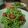 ngonjp's cooksnap of when they made スパゲティジェノベーゼ.