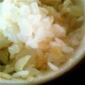 ノギスの人's cooksnap of when they made 新玉ねぎが美味しい御飯.