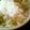 ノギスの人's cooksnap of when they made 新玉ねぎが美味しい御飯.
