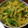 しぃーむ's cooksnap of when they made いんげんとジャガイモのカレー炒め.
