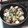 サーフブレイド's cooksnap of when they made 簡単♪蛤の酒蒸し.