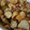 raicoro's cooksnap of when they made ズッキーニと豚肉とポテトのうまうま炒め.