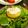 vegeange's cooksnap of when they made *Pêche au thon*　桃とツナ.