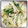 やよもも's cooksnap of when they made えのきと水菜のマヨぽん.