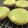 お菓子lover's cooksnap of when they made ほわっ☆ふわっ☆とろけるマフィン✿抹茶.