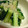 たもたん's cooksnap of when they made 簡単！きゅうりとじゃこで美味しい一品.