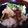 sakurask's cooksnap of when they made ４人で１匹☆うなぎの混ぜ寿司.