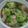 どれみ117's cooksnap of when they made 鶏もも肉とブロッコリーの煮物.