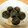takeno5's cooksnap of when they made シェフ直伝処分品の巨峰を美味しくする方法.