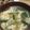 デヴリン's cooksnap of when they made ニラ玉汁.