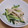 きらり流れ星's cooksnap of when they made きゅうりと鶏もも肉の和え物.