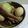りんばたまま's cooksnap of when they made お箸で切れちゃう トロトロ豚の角煮.