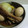りんばたまま's cooksnap of when they made お箸で切れちゃう トロトロ豚の角煮.